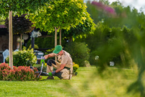 best landscaping contractors in dubai, garden landscape work