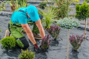 best landscaping contractors in dubai, garden landscape work outdoor