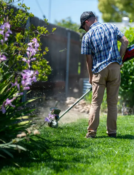 Full-service garden care for residential property in Dubai, backyard