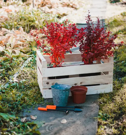 Black sand for outdoor projects Dubai, planting