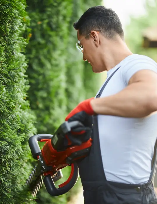 Full-service garden care for residential property in Dubai