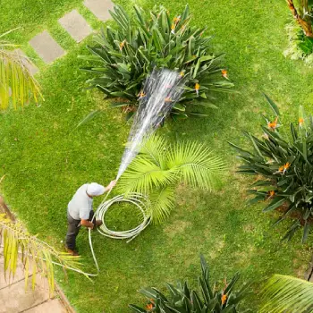 Full-service garden care property in Dubai, man watering