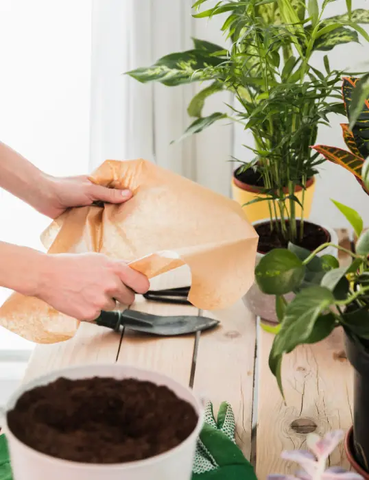 Flower bed maintenance and plant care