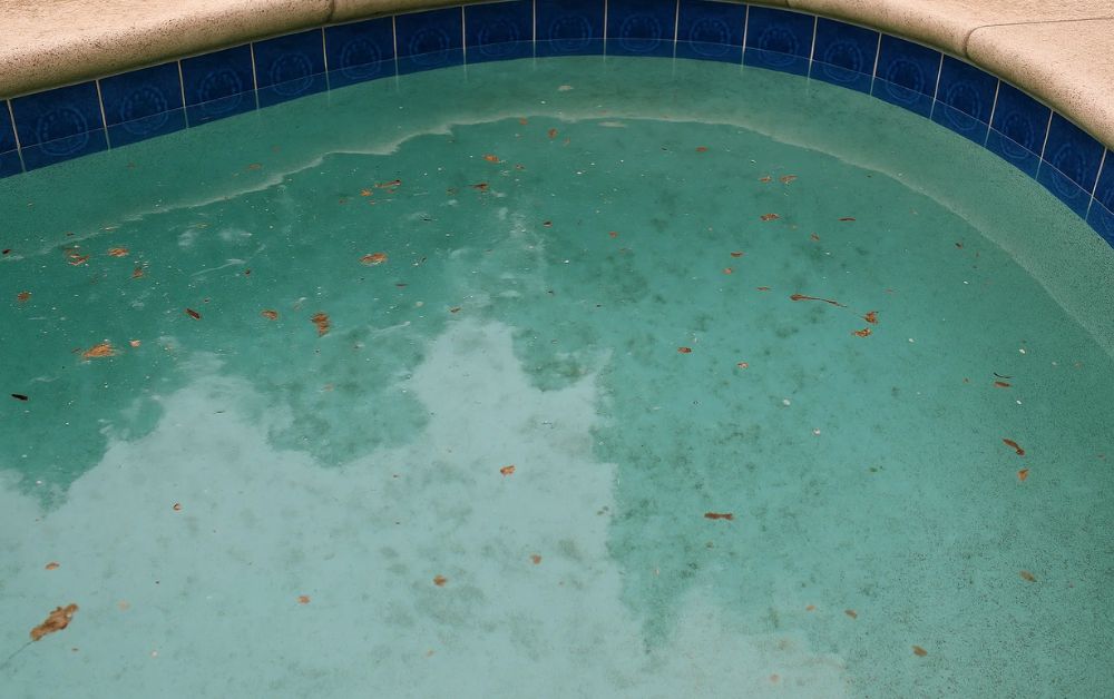 Stains on Pool Walls or Floor