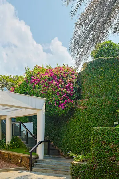 outdoor garden landscaping in Dubai